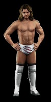 画像ギャラリー No.033のサムネイル画像 / ストーリーラインの作成にも対応した「WWE 2010 SmackDown vs. Raw」，2010年1月28日発売