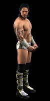 画像ギャラリー No.039のサムネイル画像 / ストーリーラインの作成にも対応した「WWE 2010 SmackDown vs. Raw」，2010年1月28日発売