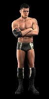画像ギャラリー No.040のサムネイル画像 / ストーリーラインの作成にも対応した「WWE 2010 SmackDown vs. Raw」，2010年1月28日発売