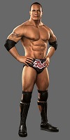 画像ギャラリー No.014のサムネイル画像 / ちょっとビンス殴りに行ってくる! 「WWE SmackDown vs. Raw 2011」はバックステージも大騒ぎ!?