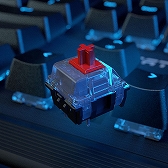 画像ギャラリー No.004のサムネイル画像 / ROCCATからエントリー市場向けキーボードが登場。赤軸とメンブレンの2製品