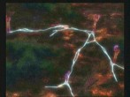 画像ギャラリー No.021のサムネイル画像 / キャラクターデザインも一新したシリーズ最新作「サモンナイトグランテーゼ 滅びの剣と約束の騎士」，バンダイナムコゲームスより2010年春発売
