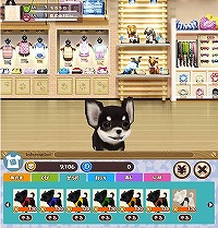 画像ギャラリー No.003のサムネイル画像 / わんこを育てるmixiアプリ「わんこのお部屋」β版が18日に登場