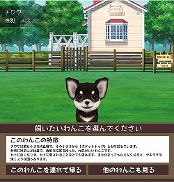 画像ギャラリー No.006のサムネイル画像 / わんこを育てるmixiアプリ「わんこのお部屋」β版が18日に登場