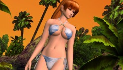 画像ギャラリー No.007のサムネイル画像 / 「DEAD OR ALIVE Paradise」，“かすみ”と“リサ”のセクシーなグラビアカットを掲載。予約特典「お風呂ポスター」の画像も公開に