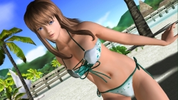 画像ギャラリー No.004のサムネイル画像 / 「DEAD OR ALIVE Paradise」より“ヒトミ”のグラビアカットを掲載&イベント“Rio Super Carnival”でスペシャル映像公開
