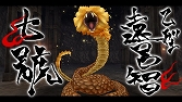 画像ギャラリー No.003のサムネイル画像 / 「東京鬼祓師 鴉乃杜學園奇譚」のBest版が2012年1月12日に発売