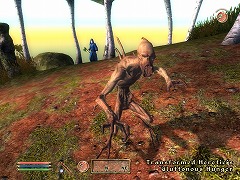 画像ギャラリー No.002のサムネイル画像 / 日本語化された「Shivering Isles」も入ってる! 「The Elder Scrolls IV: オブリビオン Game of the Year Edition」の発売日が4月22日に決定