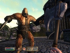 画像ギャラリー No.004のサムネイル画像 / 日本語化された「Shivering Isles」も入ってる! 「The Elder Scrolls IV: オブリビオン Game of the Year Edition」の発売日が4月22日に決定