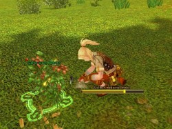 画像ギャラリー No.004のサムネイル画像 / 今春サービス予定の新作MMORPG「AILA Online」，経験値も手に入る，多彩な生産システムを紹介