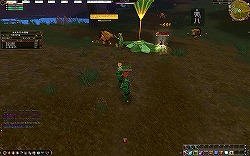 画像ギャラリー No.007のサムネイル画像 / 正統派タイトルだからこその安心感!新作MMORPG「AILA Online」先行体験レポート