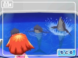 画像ギャラリー No.009のサムネイル画像 / イルカやペンギンたちと触れ合える！ NDS「みんなの水族館」が2010年3月に発売