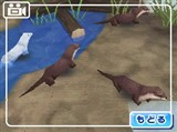 画像ギャラリー No.012のサムネイル画像 / イルカやペンギンたちと触れ合える！ NDS「みんなの水族館」が2010年3月に発売