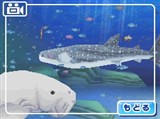 画像ギャラリー No.014のサムネイル画像 / イルカやペンギンたちと触れ合える！ NDS「みんなの水族館」が2010年3月に発売