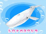 画像ギャラリー No.009のサムネイル画像 / 水族館で夢をかなえよう！ 「みんなの水族館」，「釣り」や「ショップ」などのゲーム要素を紹介