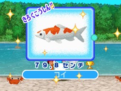 画像ギャラリー No.011のサムネイル画像 / 水族館で夢をかなえよう！ 「みんなの水族館」，「釣り」や「ショップ」などのゲーム要素を紹介