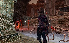 画像ギャラリー No.015のサムネイル画像 / 懐かしの「Odus（オーダス）」を見てみよう。「EverQuest II」最新拡張パック「Sentinel's Fate」の最新スクリーンショットとムービーを掲載