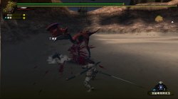 画像ギャラリー No.018のサムネイル画像 / Xbox 360に新風を巻き起こすオンラインゲームになるか? Xbox 360版「モンスターハンター フロンティア オンライン」クローズドβテストレポート