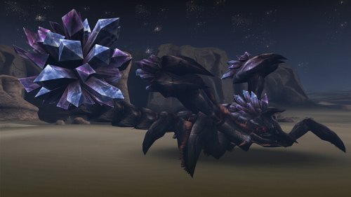 画像ギャラリー No.012のサムネイル画像 / PCで人気の「モンスターハンター フロンティア オンライン」は,Xbox 360でどう受け止められた? MHF運営プロデューサーにいろいろ聞いてみた
