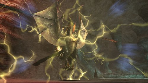 画像ギャラリー No.014のサムネイル画像 / PCで人気の「モンスターハンター フロンティア オンライン」は,Xbox 360でどう受け止められた? MHF運営プロデューサーにいろいろ聞いてみた