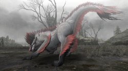 画像ギャラリー No.017のサムネイル画像 / PCで人気の「モンスターハンター フロンティア オンライン」は,Xbox 360でどう受け止められた? MHF運営プロデューサーにいろいろ聞いてみた
