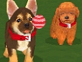 2匹同時に仔犬の育成が可能になった，NDS「かわいい仔犬DS3」が3月18日発売