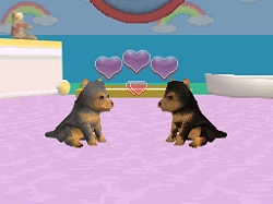 画像ギャラリー No.005のサムネイル画像 / 2匹同時に仔犬の育成が可能になった，NDS「かわいい仔犬DS3」が3月18日発売