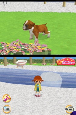 画像ギャラリー No.012のサムネイル画像 / 2匹同時に仔犬の育成が可能になった，NDS「かわいい仔犬DS3」が3月18日発売