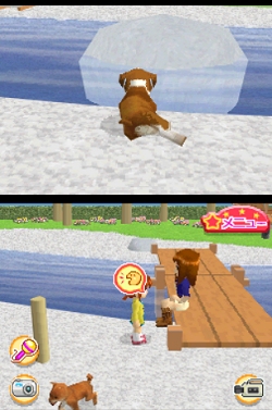 画像ギャラリー No.013のサムネイル画像 / 2匹同時に仔犬の育成が可能になった，NDS「かわいい仔犬DS3」が3月18日発売