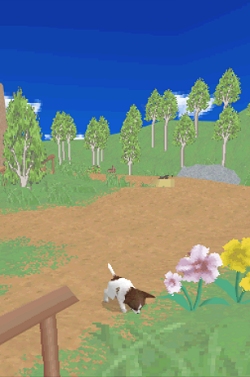 画像ギャラリー No.015のサムネイル画像 / 2匹同時に仔犬の育成が可能になった，NDS「かわいい仔犬DS3」が3月18日発売