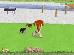 画像ギャラリー No.016のサムネイル画像 / 2匹同時に仔犬の育成が可能になった，NDS「かわいい仔犬DS3」が3月18日発売
