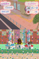 画像ギャラリー No.010のサムネイル画像 / 「かわいい仔犬DS3」の公式サイトがオープン。TV CM映像の仔犬を見てデレデレしちゃおう