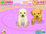 画像ギャラリー No.013のサムネイル画像 / 「かわいい仔犬DS3」の公式サイトがオープン。TV CM映像の仔犬を見てデレデレしちゃおう