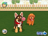 かわいい仔犬DS3