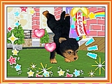 かわいい仔犬DS3