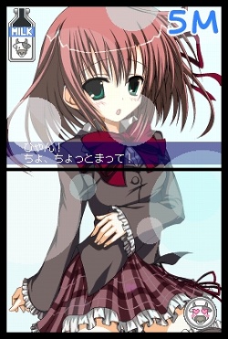 画像ギャラリー No.009のサムネイル画像 / 「生徒会の一存 -DSする生徒会-」3月25日の発売より一足早い,碧陽学園生徒会潜入レポート