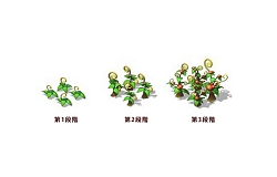 画像ギャラリー No.009のサムネイル画像 / 今春サービス予定の「英雄島」，農場システムやマイホームシステムなど一部の情報が公開