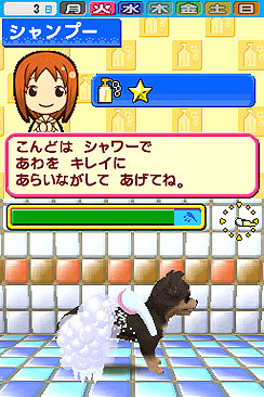 画像ギャラリー No.002のサムネイル画像 / さあ,癒されまくろう。タイトー,NDS用ソフト「ペットショップ物語DS 2」を4月1日にリリース
