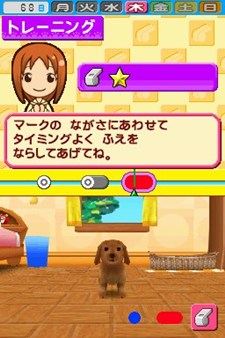 画像ギャラリー No.001のサムネイル画像 / 「ペットショップ物語DS 2」芸を覚えさせたペットをコンテストに出場させて優勝を目指そう