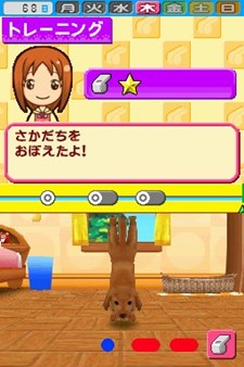 画像ギャラリー No.002のサムネイル画像 / 「ペットショップ物語DS 2」芸を覚えさせたペットをコンテストに出場させて優勝を目指そう