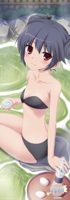 画像ギャラリー No.002のサムネイル画像 / 人気のインディーズノベルゲームがPSPに登場！　「ひまわり-Pebble in the Sky- Portable」，DXパックの豪華特典内容を発表
