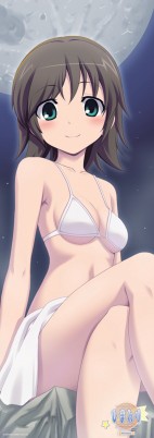 画像ギャラリー No.004のサムネイル画像 / 人気のインディーズノベルゲームがPSPに登場！　「ひまわり-Pebble in the Sky- Portable」，DXパックの豪華特典内容を発表