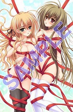 画像ギャラリー No.003のサムネイル画像 / 4月29日に発売を予定する「乙女はお姉さまに恋してる Portable」の店舗別特典イラストは大変けしからん(?)