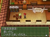 画像ギャラリー No.067のサムネイル画像 / あのRPGシリーズが17年ぶりに完全新作として登場！　NDS「メタルマックス3」が2010年夏に発売決定