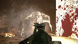 画像ギャラリー No.016のサムネイル画像 / 核戦争後の世界に出現した“ダークワン”とは……? 先行体験会で確認できた,Xbox 360用ソフト「メトロ2033」の魅力をレポート