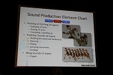 画像ギャラリー No.025のサムネイル画像 / ［GDC 2010］シーケンサーで音を当てるのはもう古い？ 「ファイナルファンタジーXIII」で採用された自動サウンド生成システム「MASTS」とは