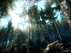 画像ギャラリー No.001のサムネイル画像 / ［GDC 2010］立体視ゲーム環境は普及するのか？　会場で見つけた各種方式のステレオ3Dデバイスをレポートする