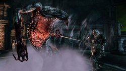 画像ギャラリー No.006のサムネイル画像 / PS3/Xbox 360版「Dragon Age: Origins」には，海外版に登場した6本のDLCが同梱することが判明