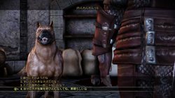 画像ギャラリー No.009のサムネイル画像 / PS3/Xbox 360版「Dragon Age: Origins」には，海外版に登場した6本のDLCが同梱することが判明
