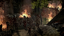 画像ギャラリー No.005のサムネイル画像 / 「Dragon Age: Origins」の最新情報が到着。背景設定やゲームシステムなどを頭に叩き込んで発売に備えよう